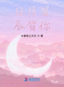 日月星辰皆你封面