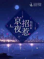 京夜招惹封面