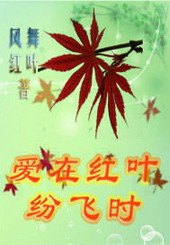 鳳舞紅葉封面