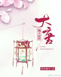 大唐魏王妃傳封面