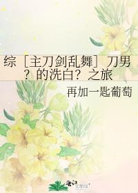 综［主刀剑乱舞］刀男？的洗白？之旅封面