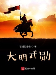 大明武勛封面