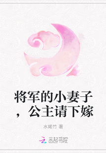 将军的小妻子，公主请下嫁封面