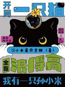 猫猫我呀今天也在努力穿越封面