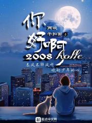 你好啊！2008封面