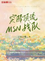 突降顶流MSN战队封面