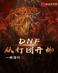 DNF从打团开始封面