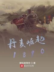 丹麦崛起1890封面