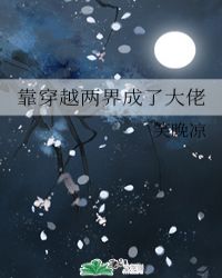 靠穿越兩界成了大佬封面