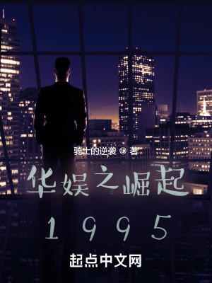 华娱之崛起1995封面