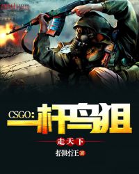 CSGO：一桿鳥狙走天下封面