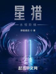 星獵：永恆階梯封面