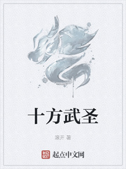十方武聖封面