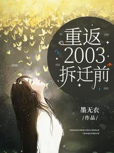 重返2003拆迁前封面