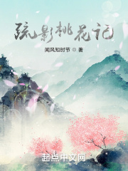 疏影桃花记封面