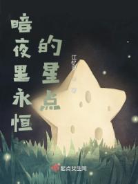 暗夜裏永恆的星點封面