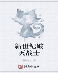 新世紀破滅戰士封面