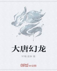 大唐幻龙封面