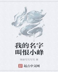 我的名字叫恨小峰封面