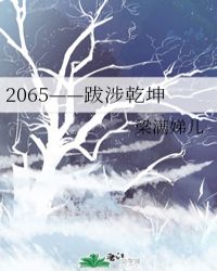 2065——跋涉乾坤封面