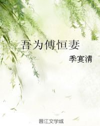 吾为傅恒妻封面