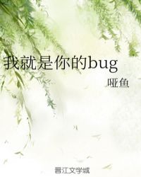 我就是你的bug封面