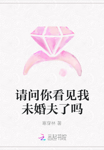 請問你看見我未婚夫了嗎封面