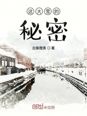 這大雪的秘密封面