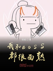 我和BOSS都很面熟封面