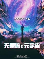 無限流的元宇宙封面