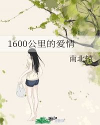 1600公里的爱情封面