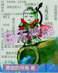 網游之獨步武俠封面