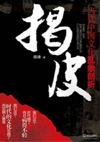 揭皮-当代中国文化乱象剖析（全本）封面