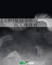 [全职]星辰非昨夜，何人度良宵封面