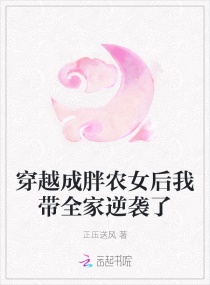 穿越成胖农女后我带全家逆袭了封面