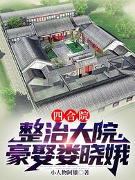 四合院：整治大院，豪娶娄晓娥封面