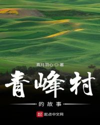 青峰村的故事封面