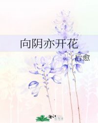 向阴亦开花封面