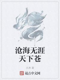 沧海无涯天下苍封面