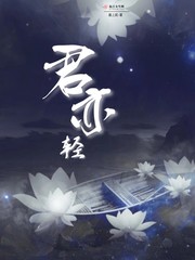 君亦轻封面