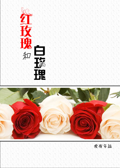 红玫瑰和白玫瑰GL封面