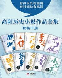 高阳历史小说作品全集（共10册）封面