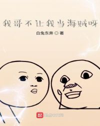 我哥不讓我當海賊呀封面