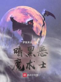 暗黑恶魔术士封面