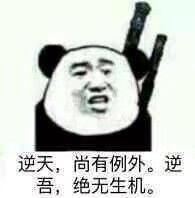 寰宇明灭封面