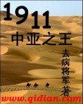 1911中亚之王封面