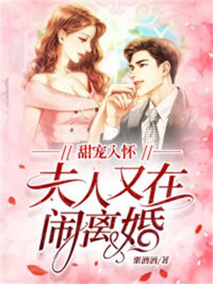 甜宠入怀，夫人又在闹离婚封面