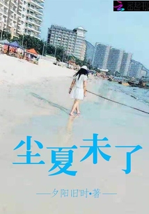 塵夏未了封面