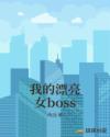 我的漂亮女boss封面