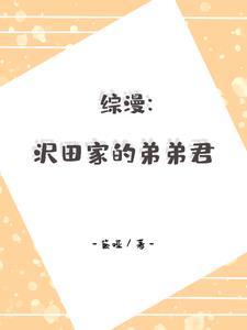 綜漫：沢田家的弟弟君封面